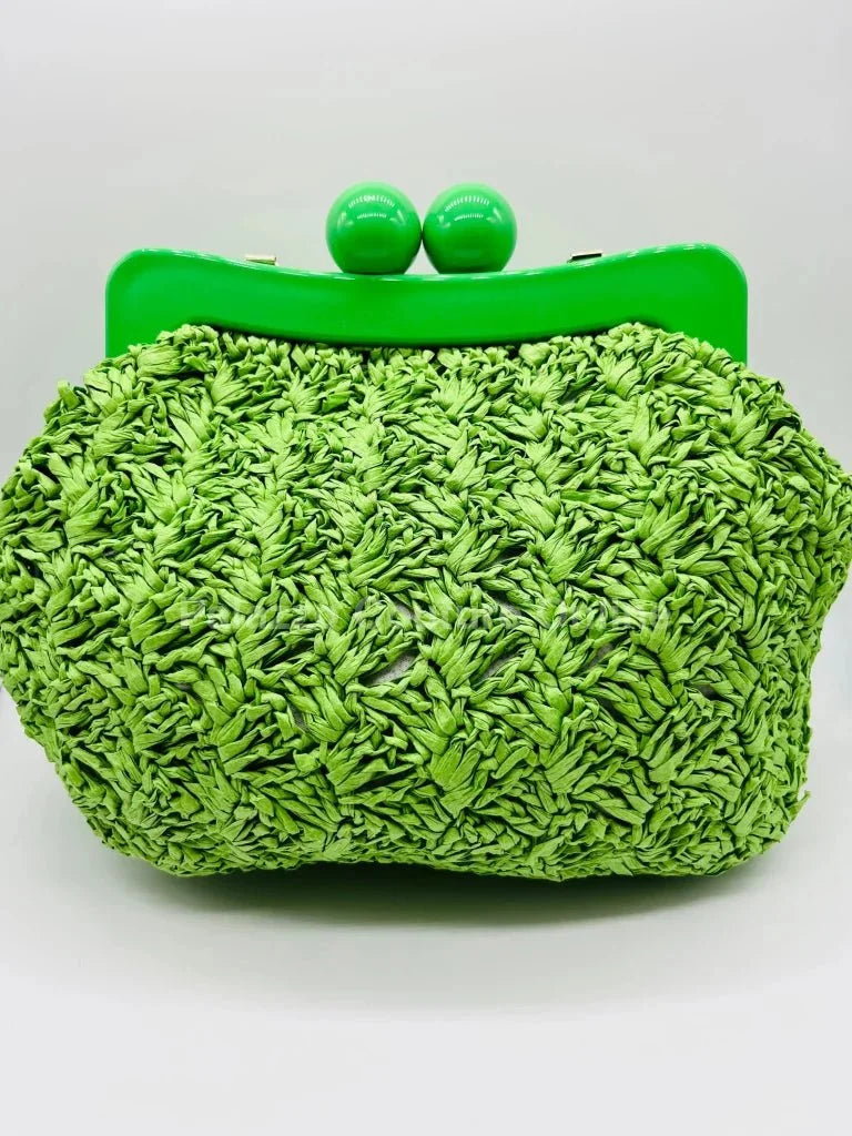 Vane Straw Vintage handbag (Green)