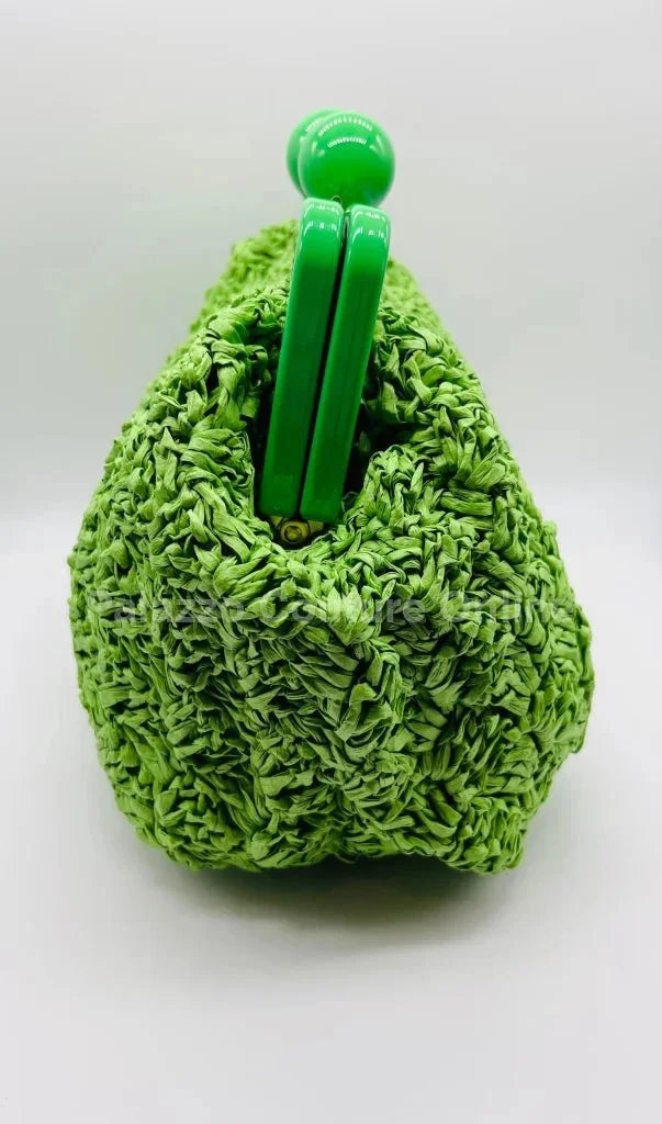 Vane Straw Vintage handbag (Green)